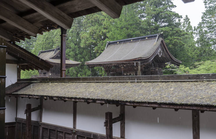215 - Koyasan - templo de Kongobu-ji